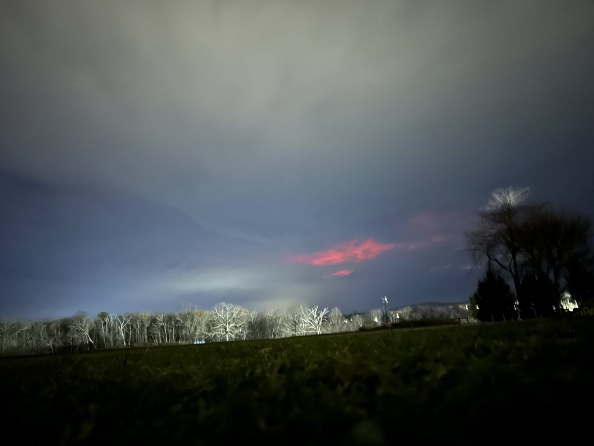 Nico Wells ⛰️ tweet media