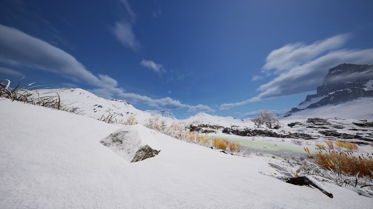 ねこにんげん tweet media