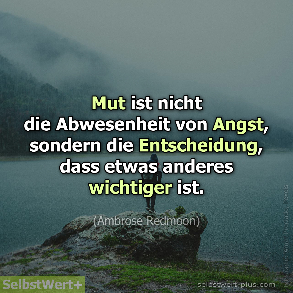 VLechleitner's tweet image. Mut ist kein lautes „Ich kann das!“.
Oft ist es ein leises „Ich versuch’s trotzdem.“

Er beginnt nicht mit Sicherheit,
sondern mit Ehrlichkeit -
mit dem Moment, in dem Sie sich selbst wichtiger nehmen als Ihre Angst.

#mut #angst #selbstwert #hoffnung #ehrlichkeit