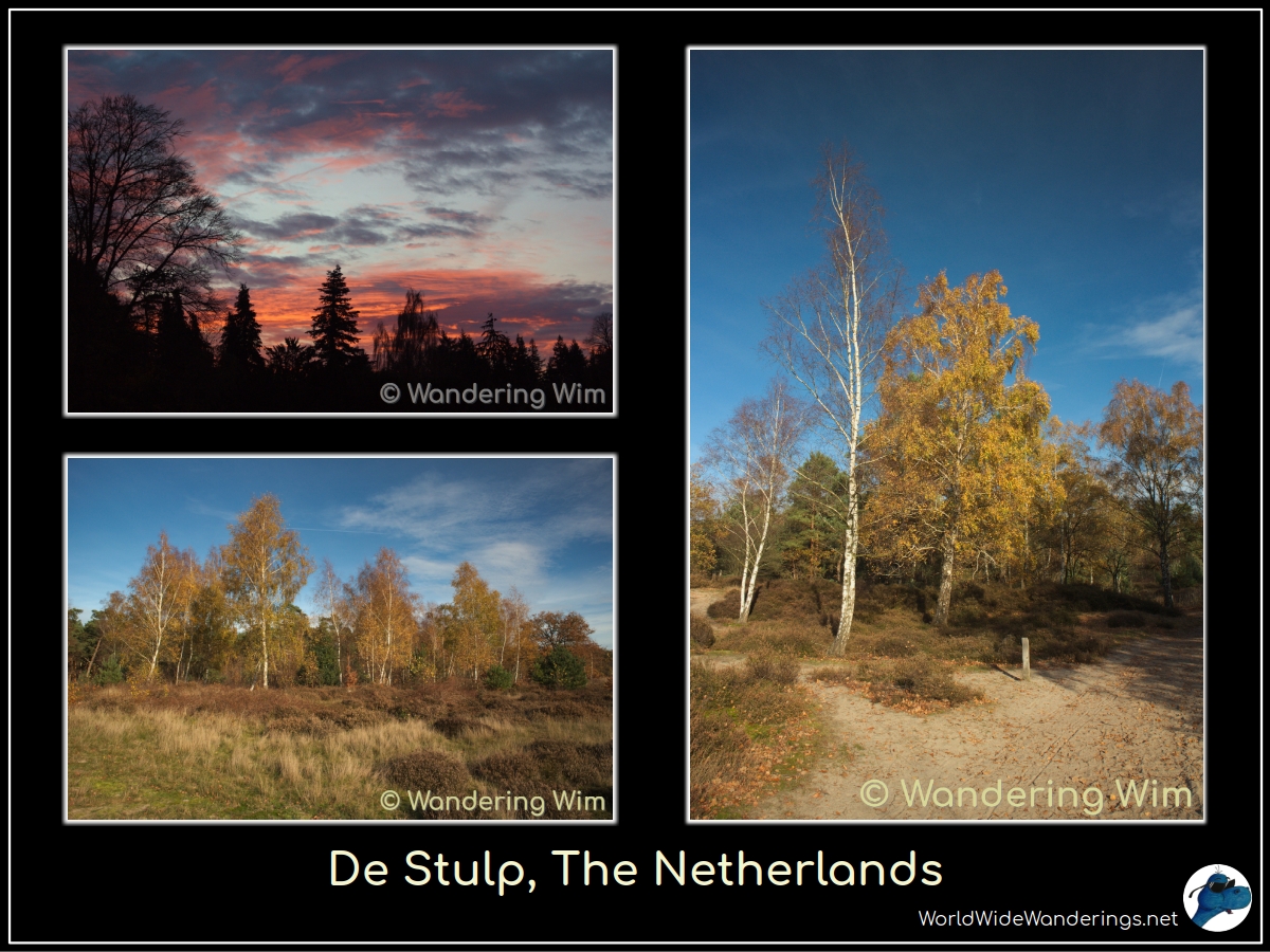 After watching a beautiful sunset, a nice walk through the forest.

More pics: worldwidewanderings.net/blog/2025/11/1…