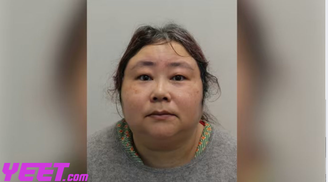 StarPlatinum tweet media