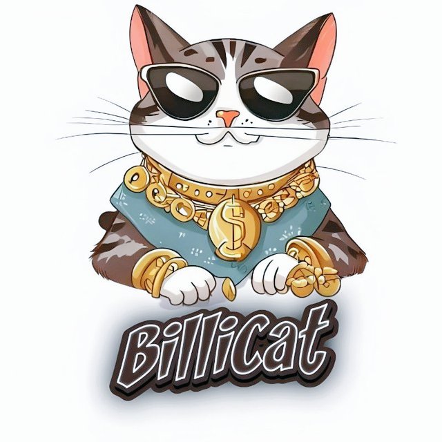 prosper4ever15's tweet photo. @Bybit_Official The name of this cat is call Billicat, the native token of billex exchange, this cat has been in existence since 2023, contract address is renounced, liquidity is lock and burnt ๐ฅ forever, bullish, @BillicatCoin
#bcat
#billex
#billionairecat https://t.co/mvykja3MJp