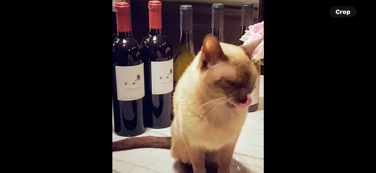 thoma31083's tweet image. She knows what she wants! 👍