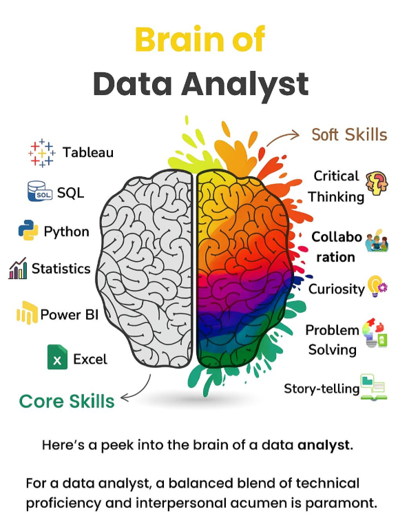 SonOfTheWinds's tweet image. #DataAnalyst #Brain 🧐