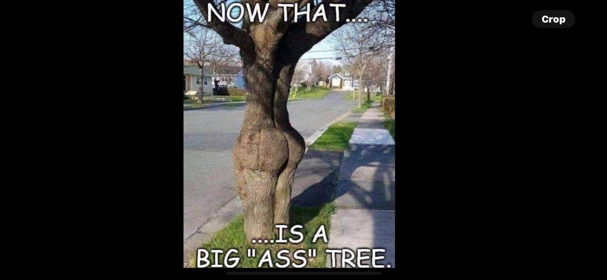 thoma31083's tweet image. 