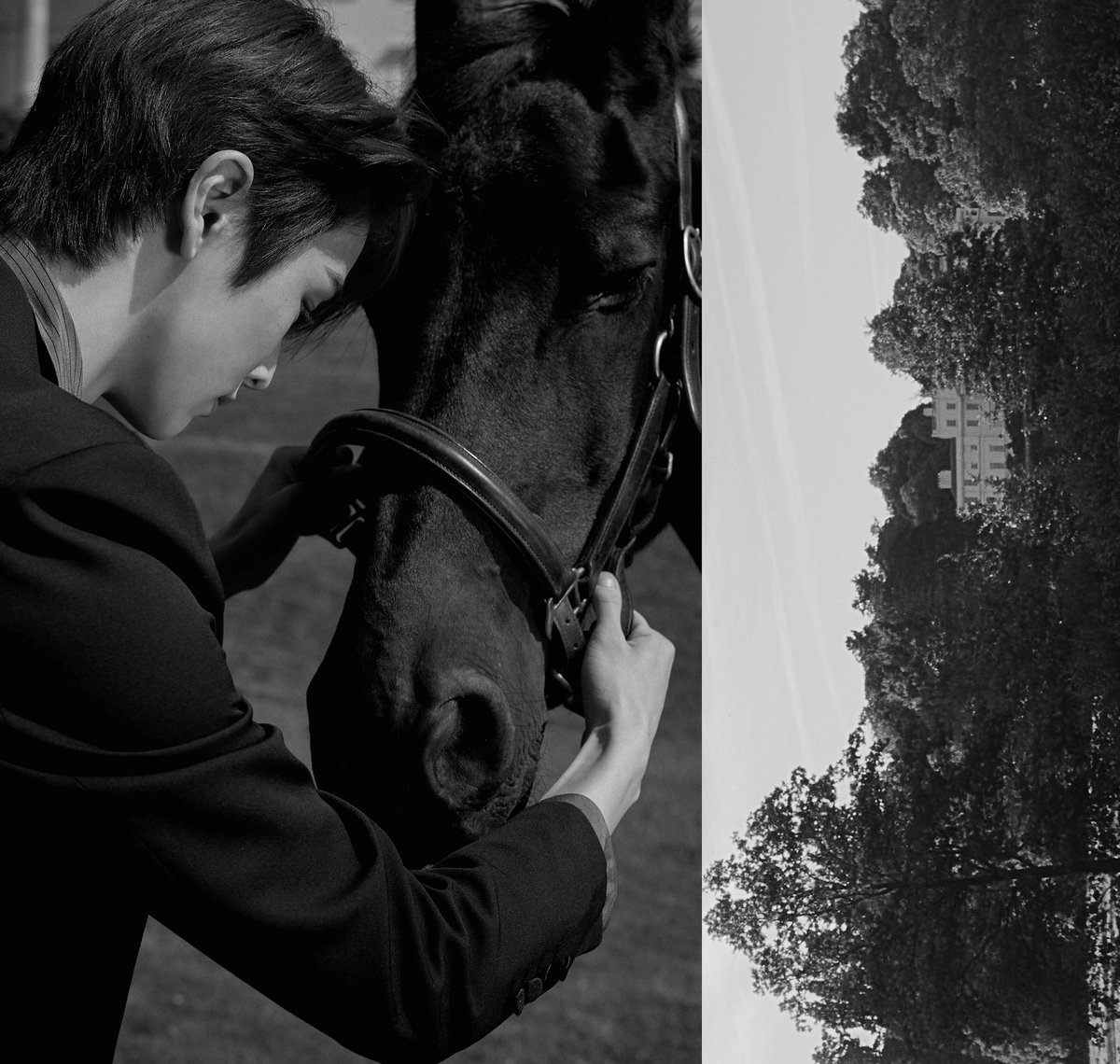 ͏͏Jung tweet media