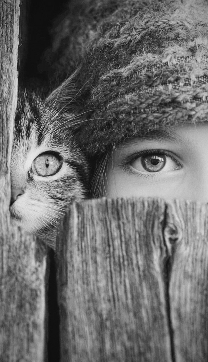 ろろ (@roro_tomashi) / Posts / X