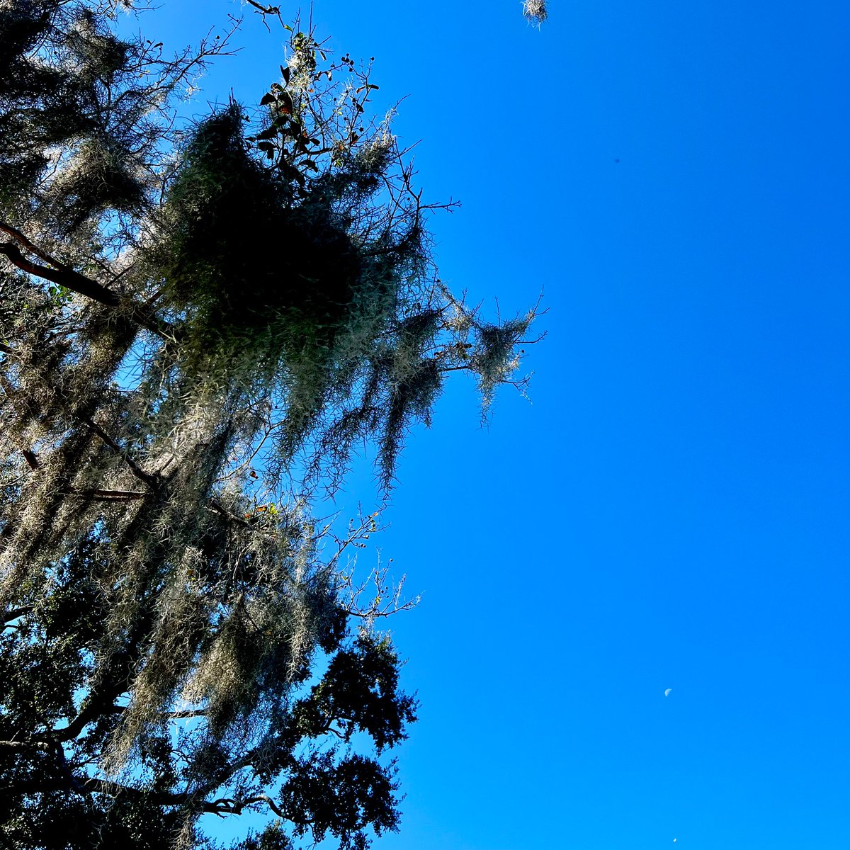 Today’s theme for our team is to exercise greater application of sound principles .