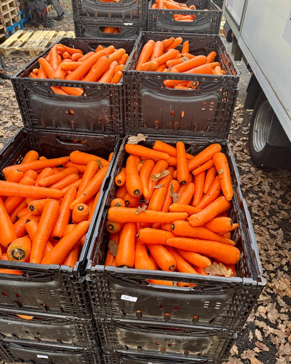 🥬À <a href="/BastideNiel/">Bastide Niel</a>, une phase d’expérimentation s’ouvre autour des circuits courts et de l’alimentation durable.

bastideniel.fr/circuits-court…

#BastideNiel #Bordeaux #EconomieLocale #CircuitCourt #AlimentationDurable #BienManger #QuartierDurable #InclusionSociale #LienSocial