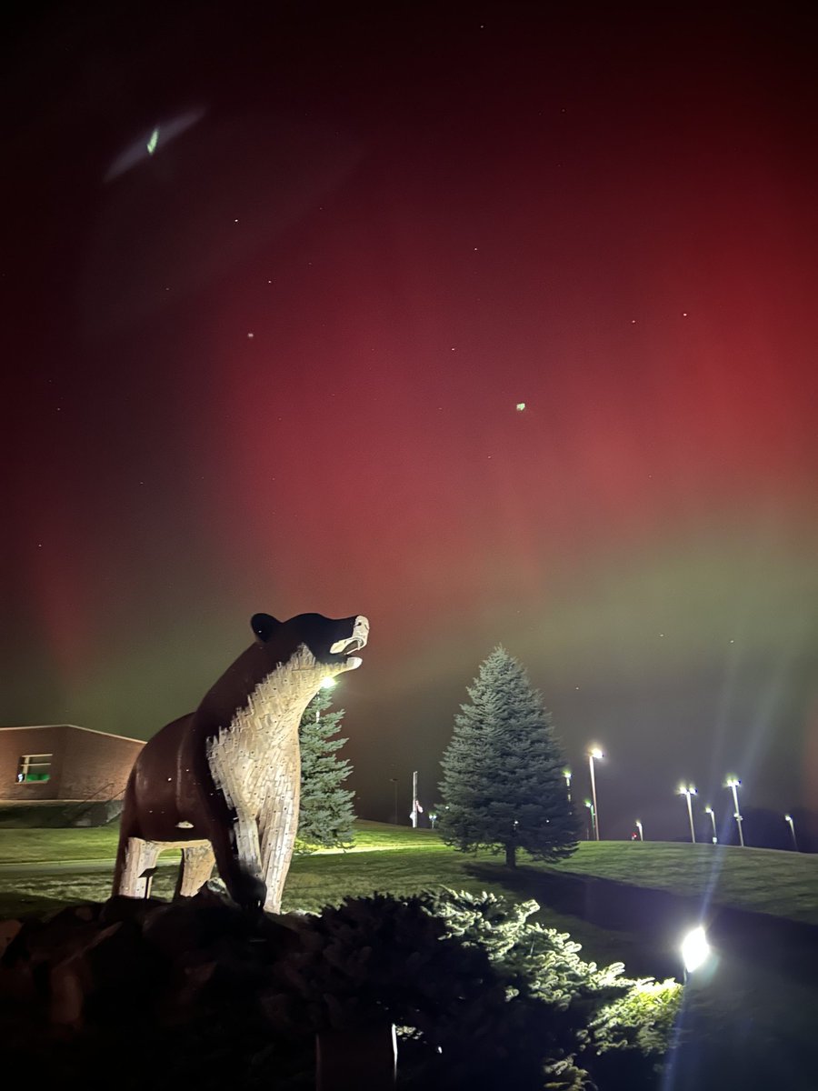 The northern lights put on quite the show last night, and our Byron Bear got in on the action! 🌌🐻💛🖤
Photo credit: <a href="/CoachHalder/">Ben Halder</a> (and what a shot!) #ByronBears