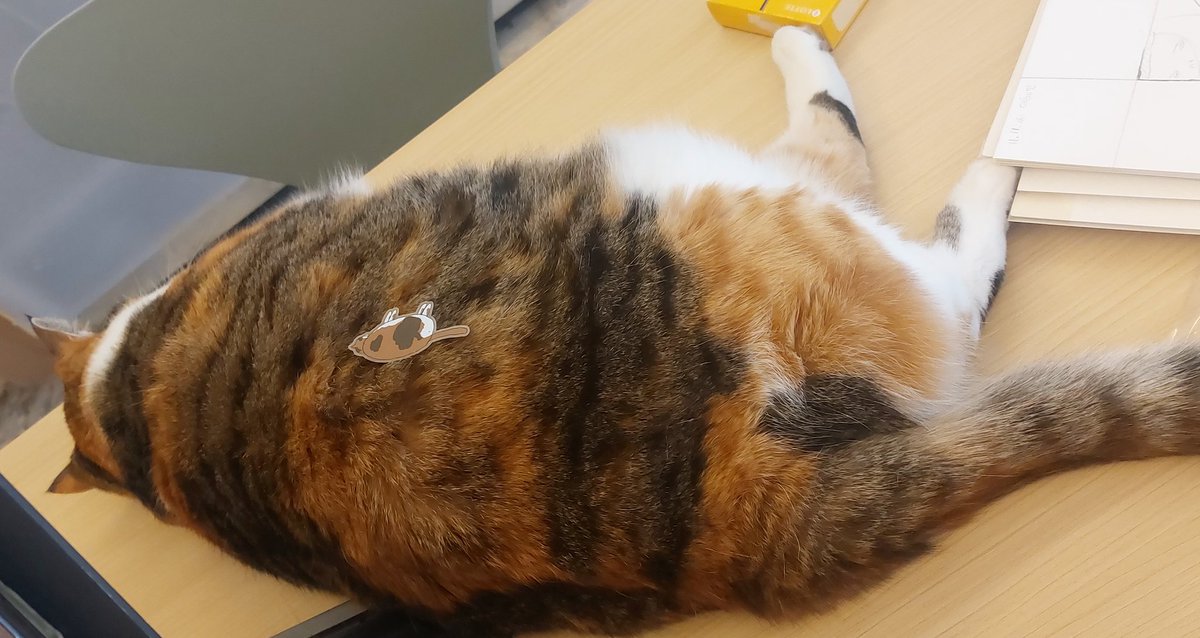 거대돈가스.....