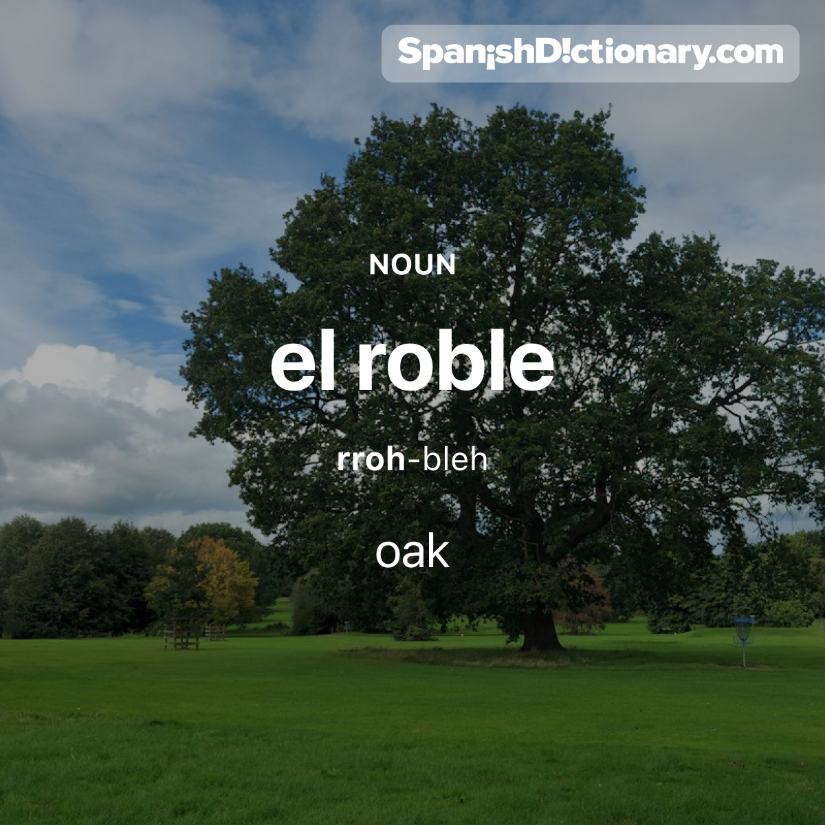 SpanishDict's tweet image. Today&apos;s #WordOfTheDay is &quot;roble.&quot; 🌳 For example: Hay una pequeña banca bajo el roble.  - There&apos;s a little bench under the oak. 
#EstudiaEspañol #StudySpanish #AprendeEspañol #LearnSpanish #Español #Spanish #LearningSpanish #PalabraDelDia