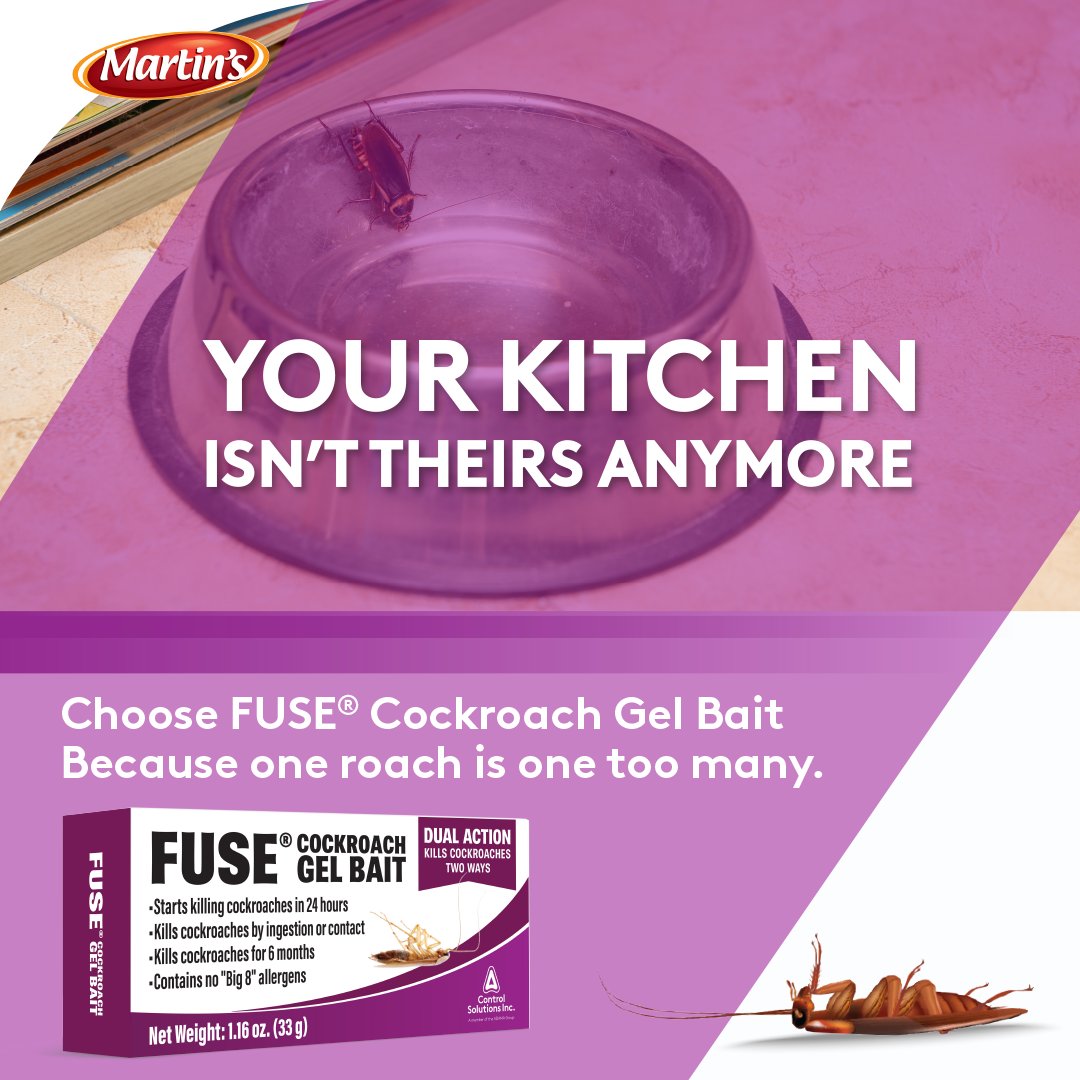 MartinsBrand's tweet image. Roaches don’t belong anywhere near your pet’s food.FUSE Cockroach Gel Bait targets infestations fast with dual-action control that starts killing in 24 hours!

Because one roach is one too many.⚠️🪳

#MartinsBrand #FUSEGelBait #CockroachControl #PestFreeHome #PetSafeSpaces