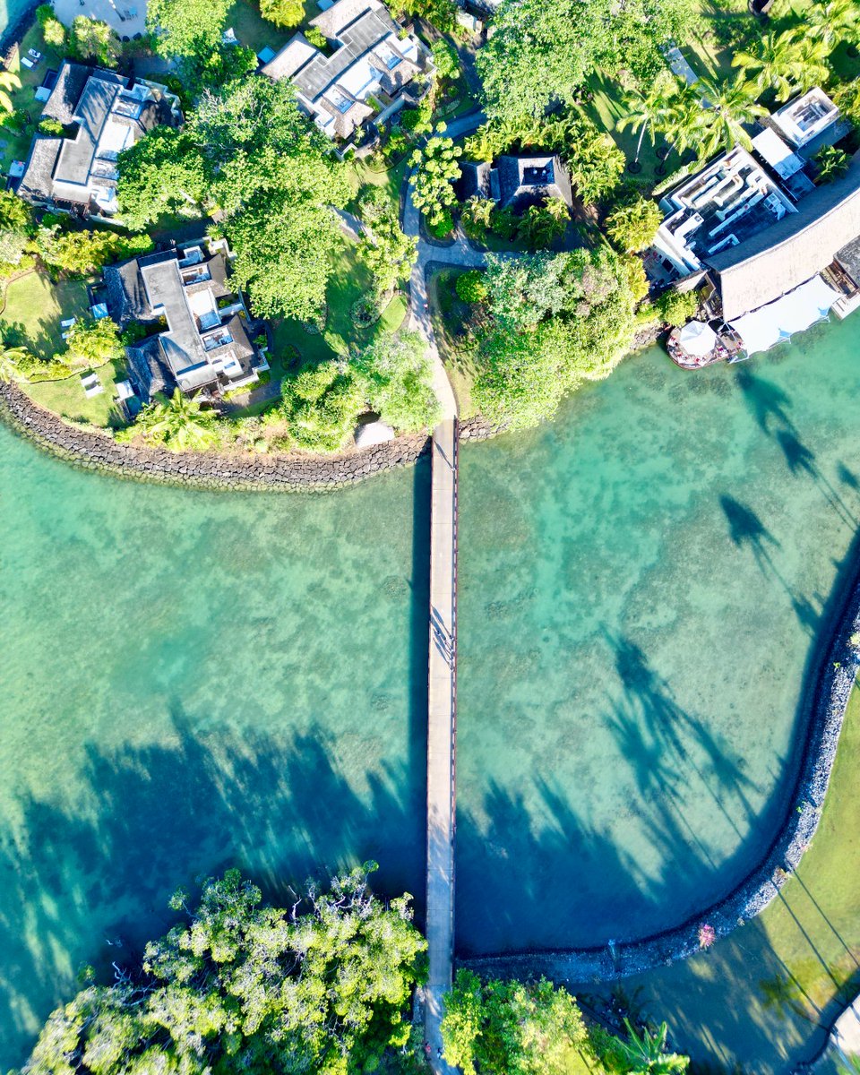 Four Seasons Anahita tweet media