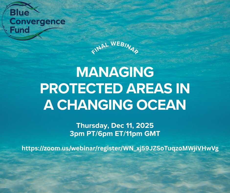 Blue_Convergence_Fund tweet media