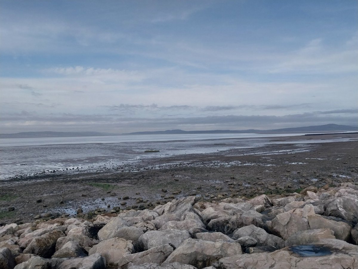 <a href="/miocatmiomio/">香車の香ちゃん</a> <a href="/MJedi50/">Master Jedi50. Romulan Spy Guy</a> <a href="/Vampire4me/">Vampire Girl</a> <a href="/Nevermoore82/">♤NoMoore♤</a> <a href="/OkaasanKawaii/">Okaasan 🖌</a> <a href="/PebbleGreen2/">Didi Angel🇨🇦🌹</a> Today's views