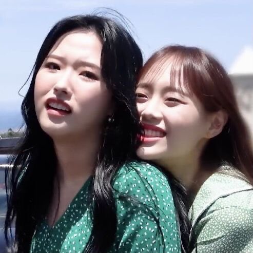 🍀🗯️ #happyhyejuday