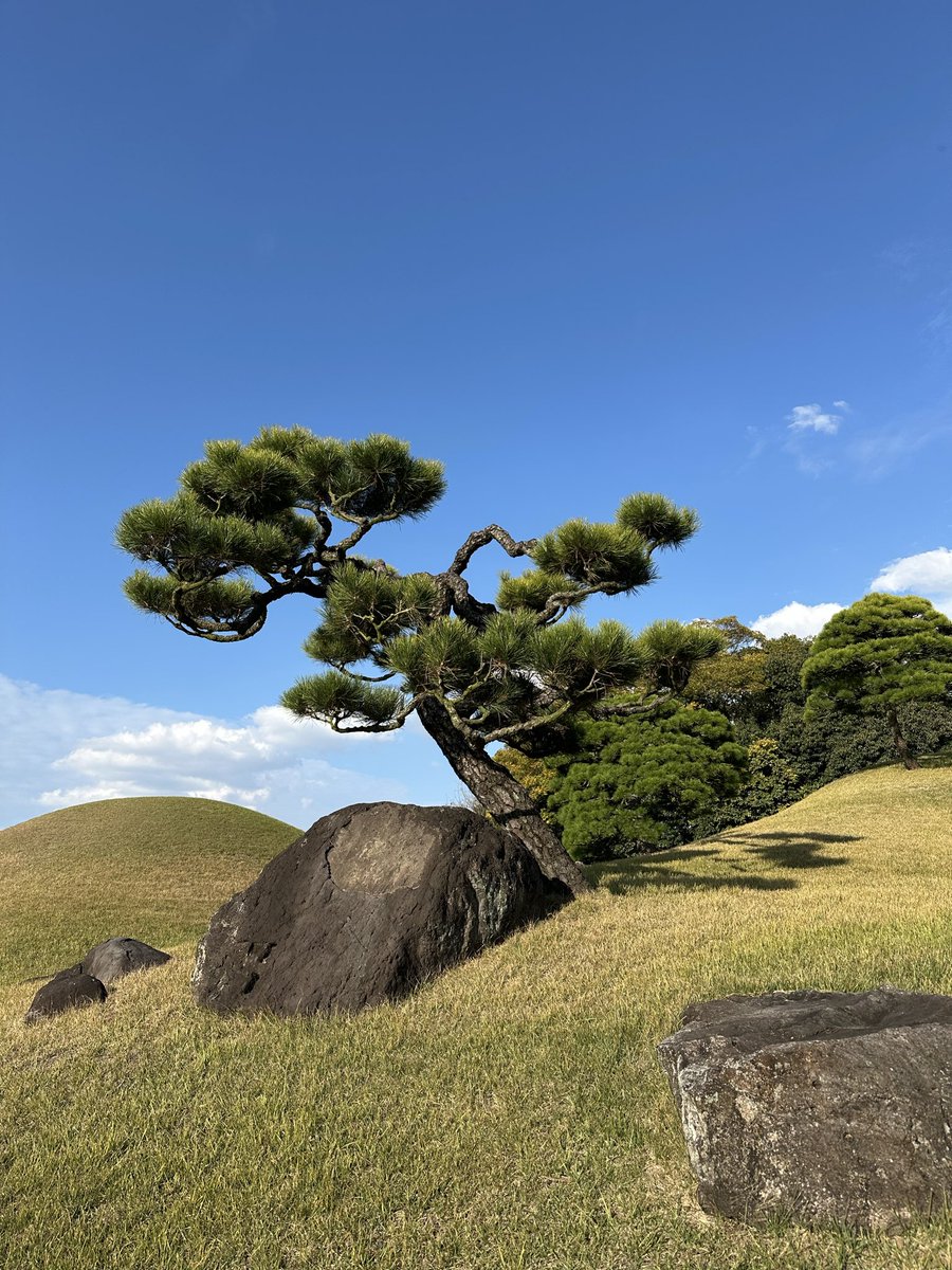 Adusingi's tweet image. Kyushu&apos;s charm never fades! Back in Kumamoto after 8 yrs—Suizenji Garden&apos;s breathtaking, craft beer&apos;s spot-on, food&apos;s amazing. Relaxed vibes, less crowded than Osaka. Rain canceled our Kuju climb, reason to come back. Visit Kumamoto! #japanesefood #japan