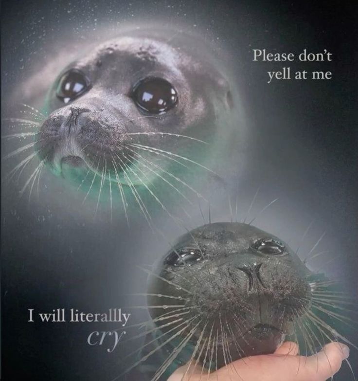 I NEED TO KNOW WHO MADE THIS IMAGE