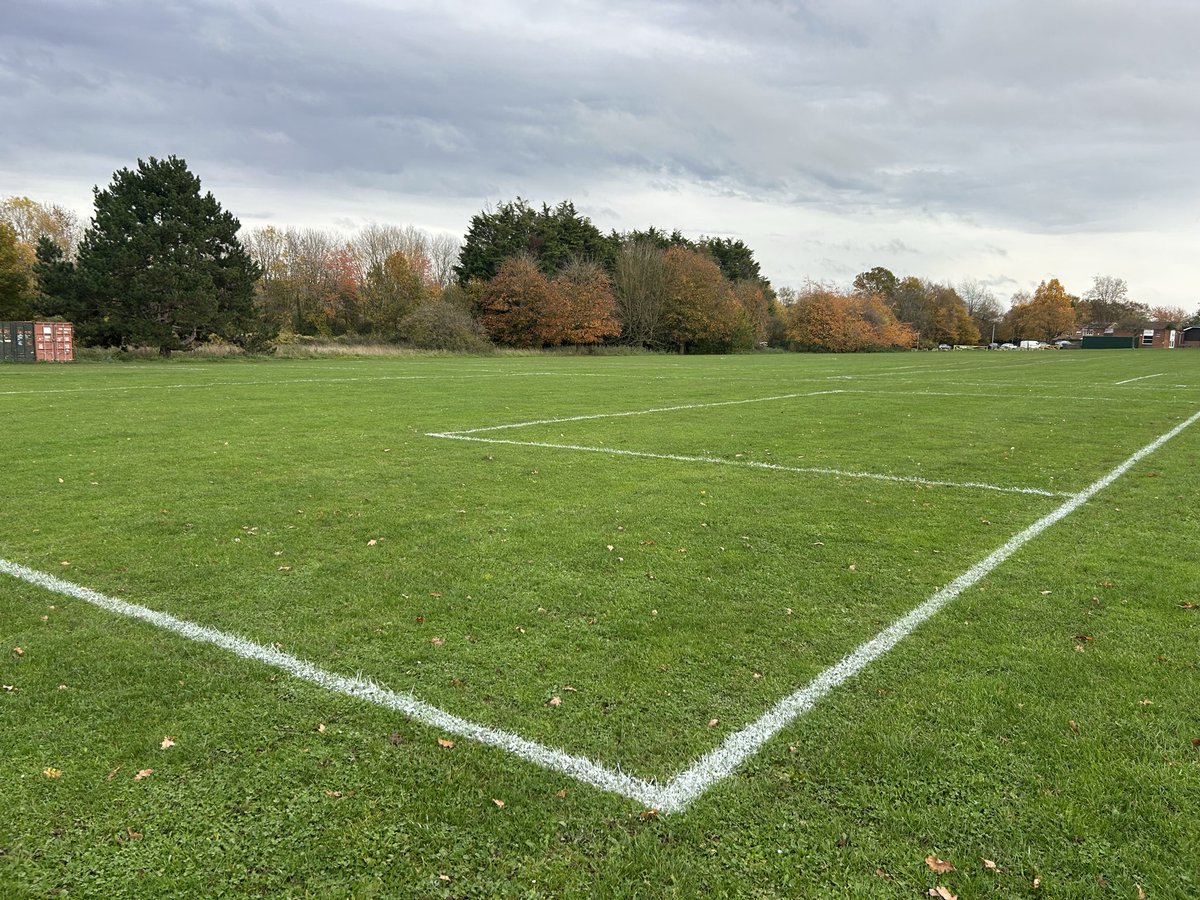 Scott's Pitch Care tweet media