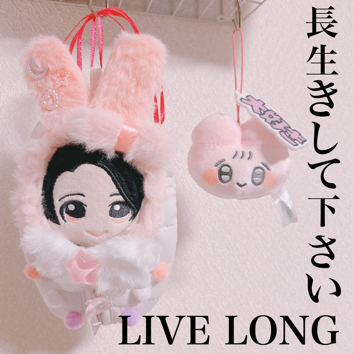 コウちゃん コウちゃん🐶🩷 (@Khochan102) / Posts / X