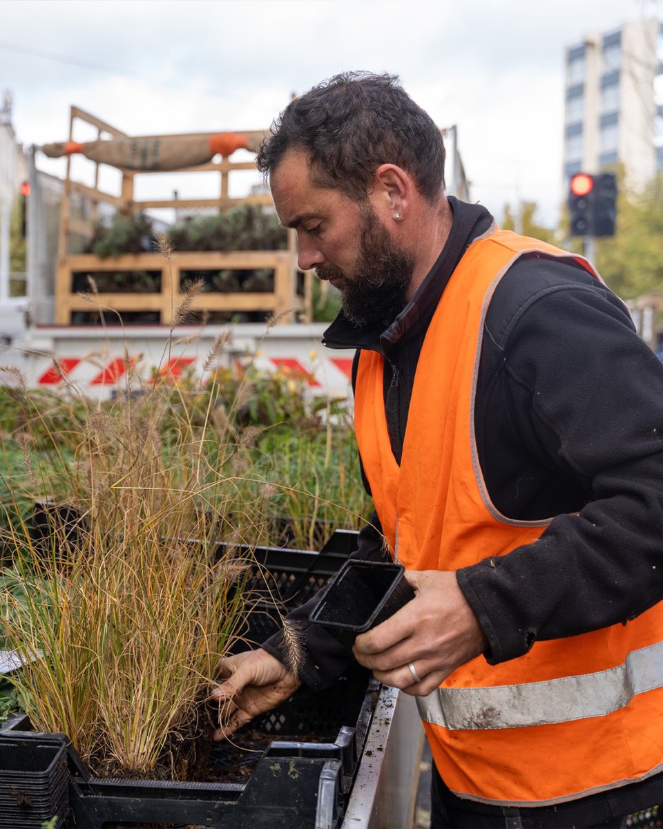 La saison des plantations est lancée !  🌱

Après les 270 premiers arbres plantés en 2024, une nouvelle vague de 1 070 arbres démarre cet automne, jusqu’en mars 2026.
Au total, ce sont plus de 3 000 arbres et 355 000 plantes qui viendront transformer la métropole d’ici 2027 🌿