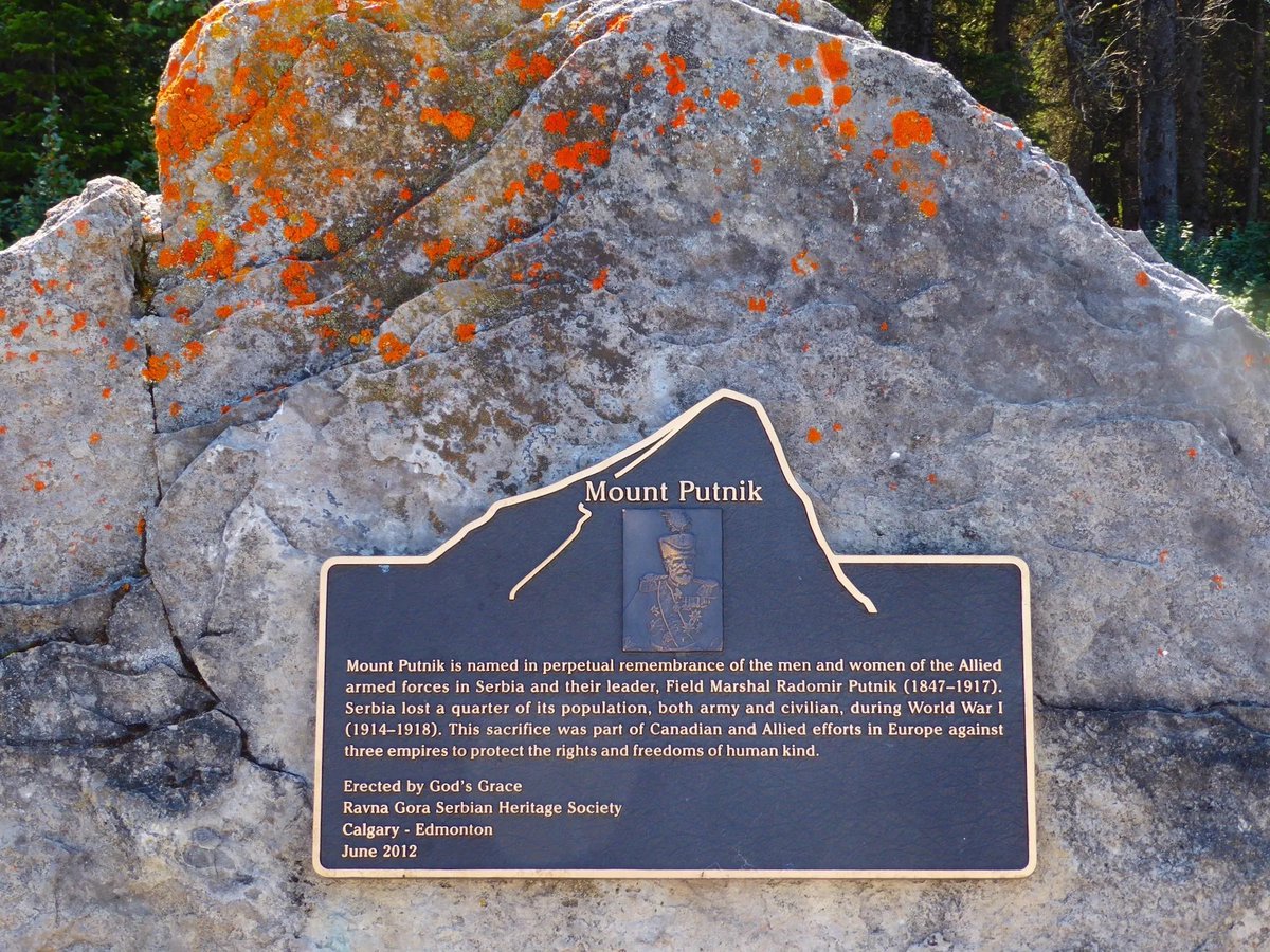 Serbian Life tweet media