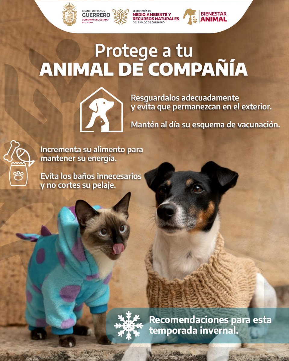 ¡Cuida a tus animales de compañía en esta temporada invernal! ❄️🐾

Es importante brindarles atención, resguardo y las condiciones necesarias para mantener su bienestar y salud. 🐈🐕

#BienestarAnimal
#TemporadaInvernal