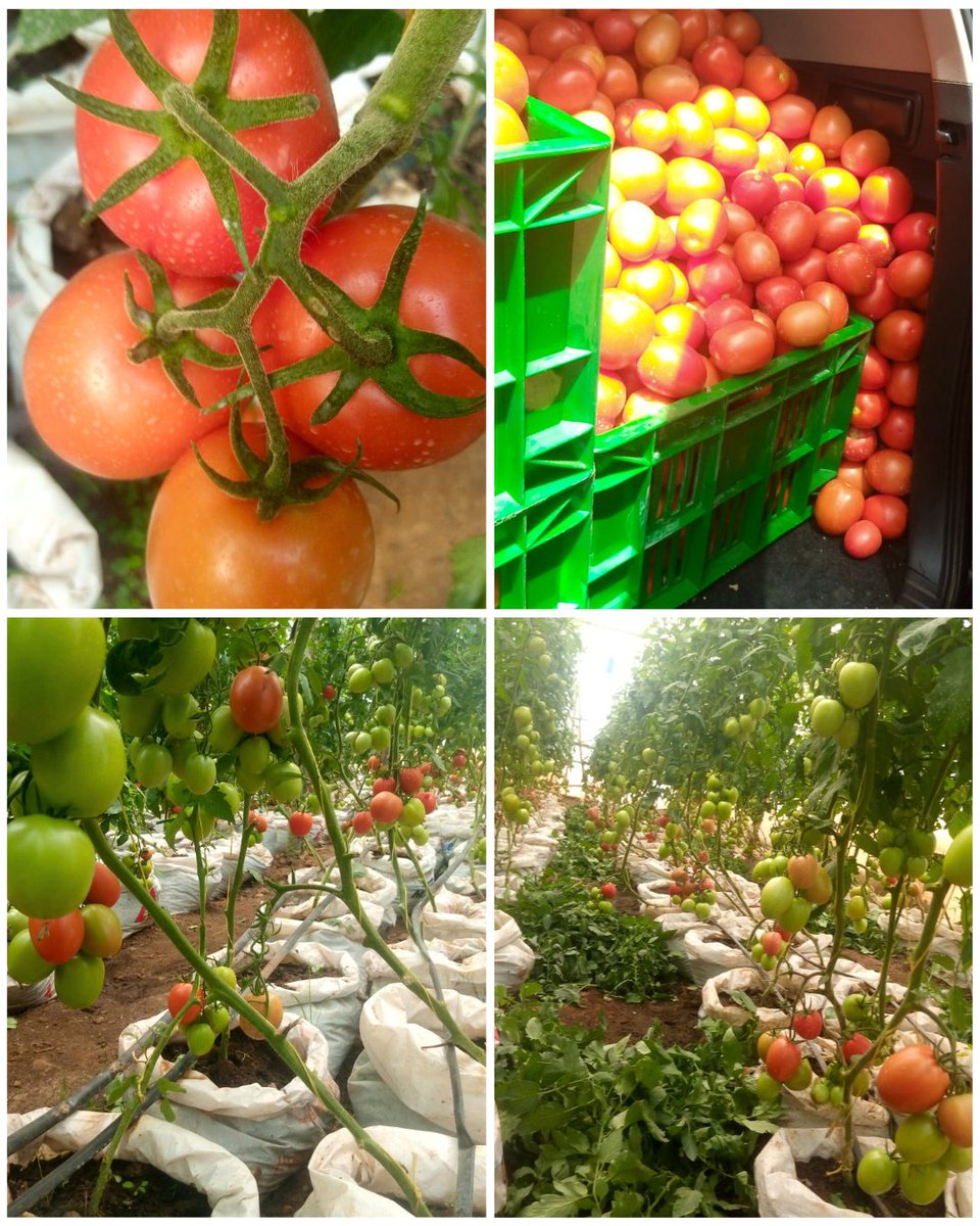 SAIC Rwanda tweet media