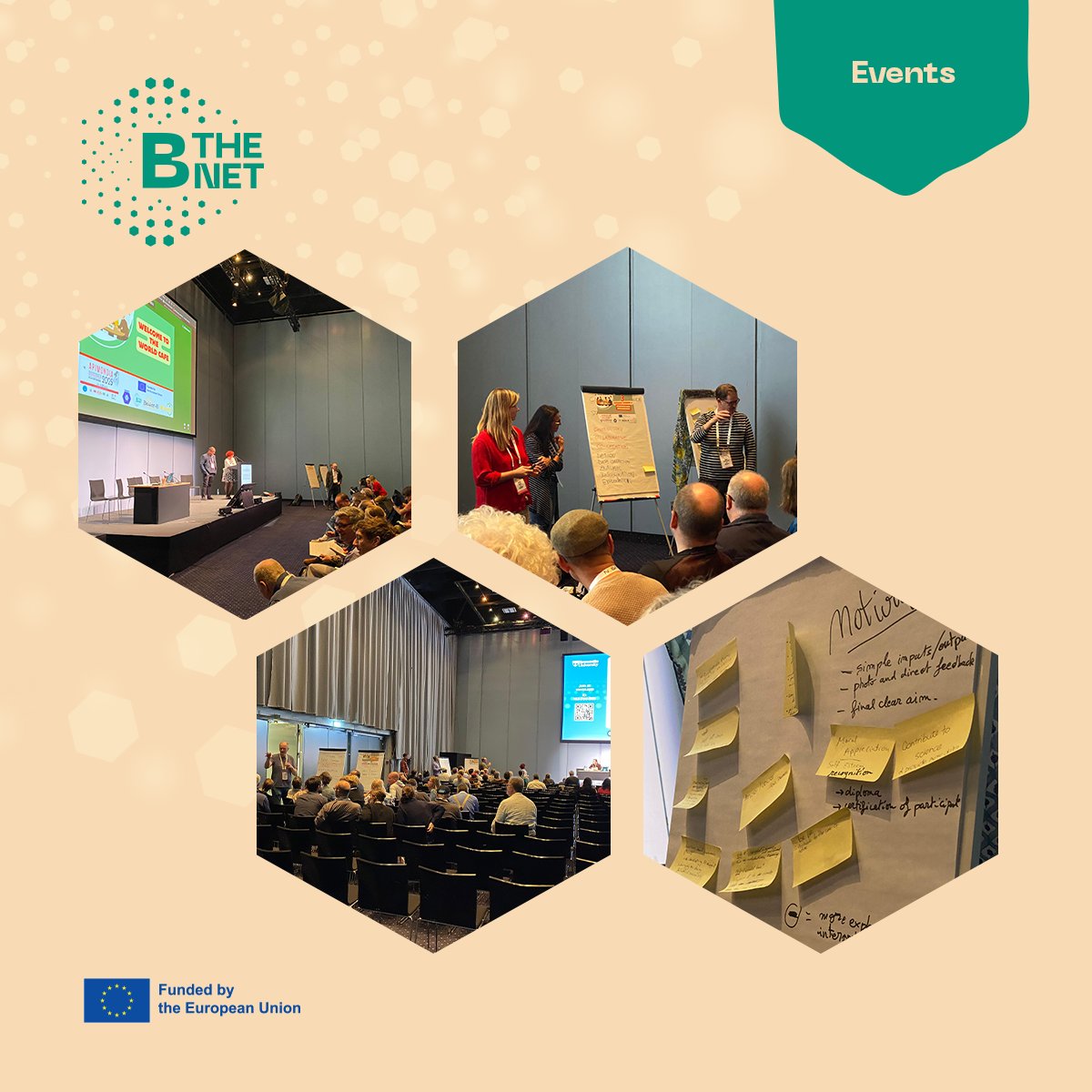 The 3 take-home messages from the Citizen Scientists in beekeeping are here! 🔬
We synthesised results from our <a href="/apimondia/">Apimondia</a> World Café: focus on clear communication, participant support, and recognition. 
Thank you to everyone who has been there! 🐝