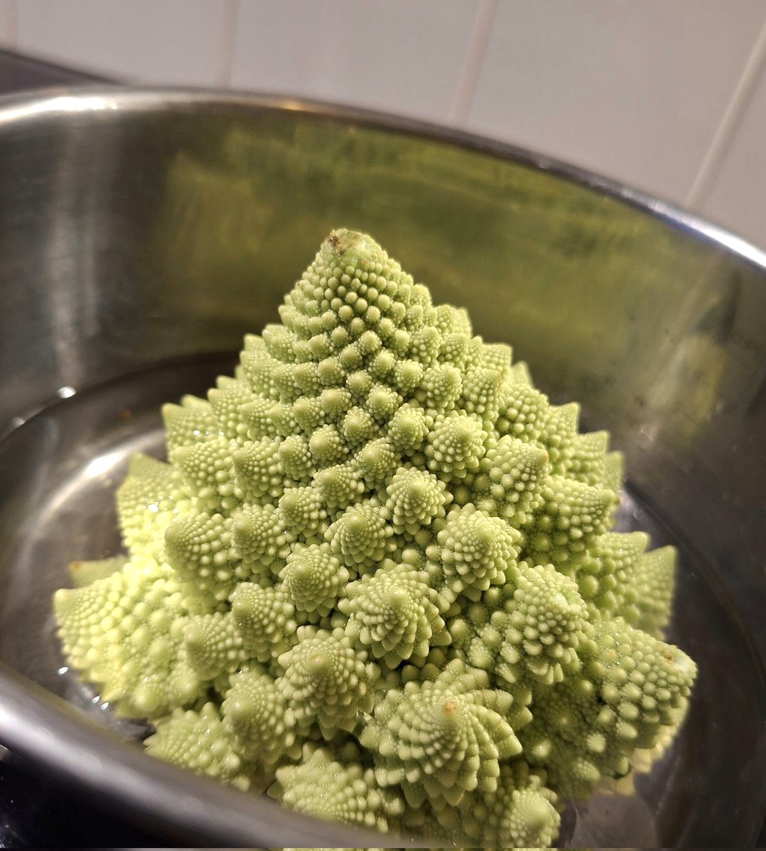 Ruth van S. tweet media