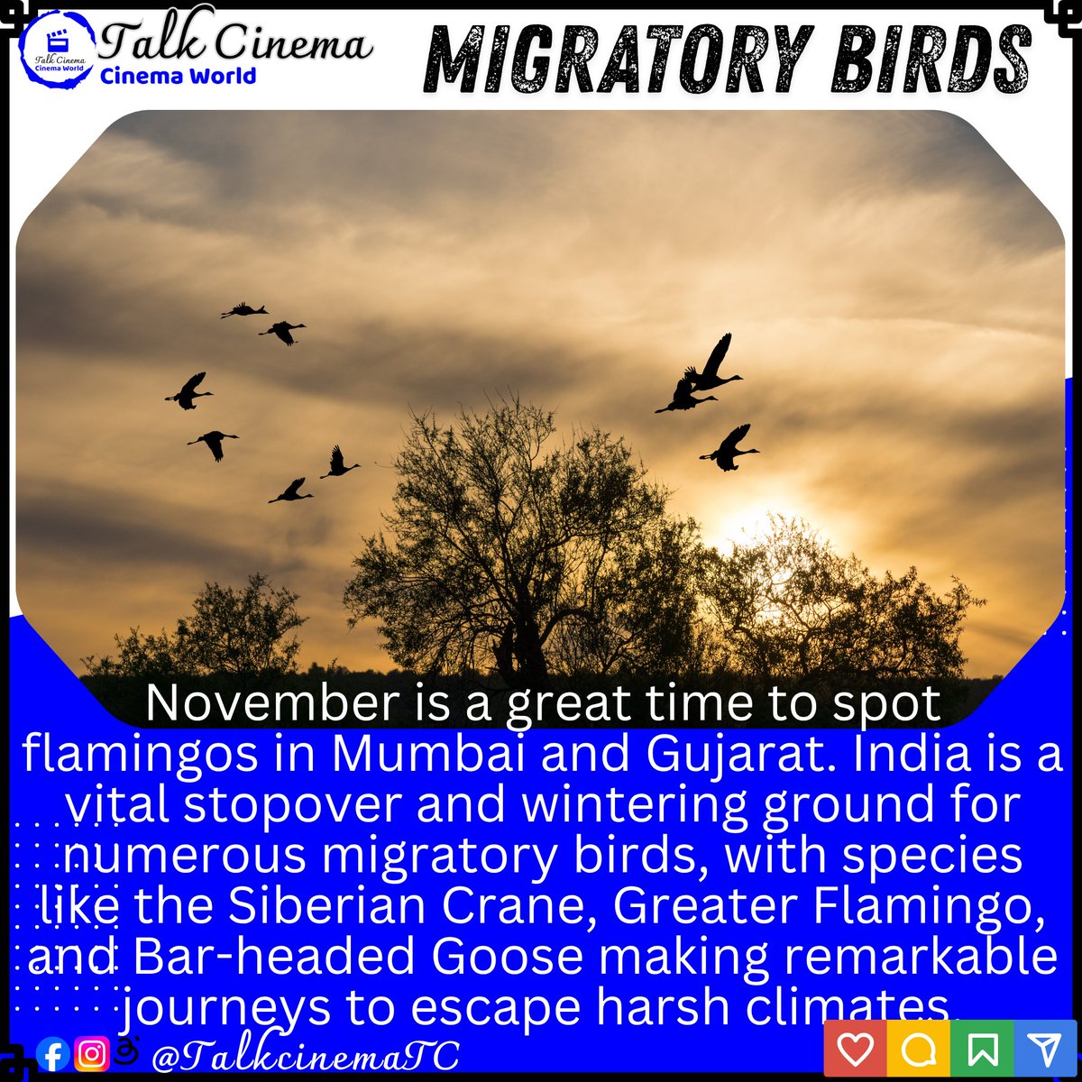 TALKCINEMA tweet media