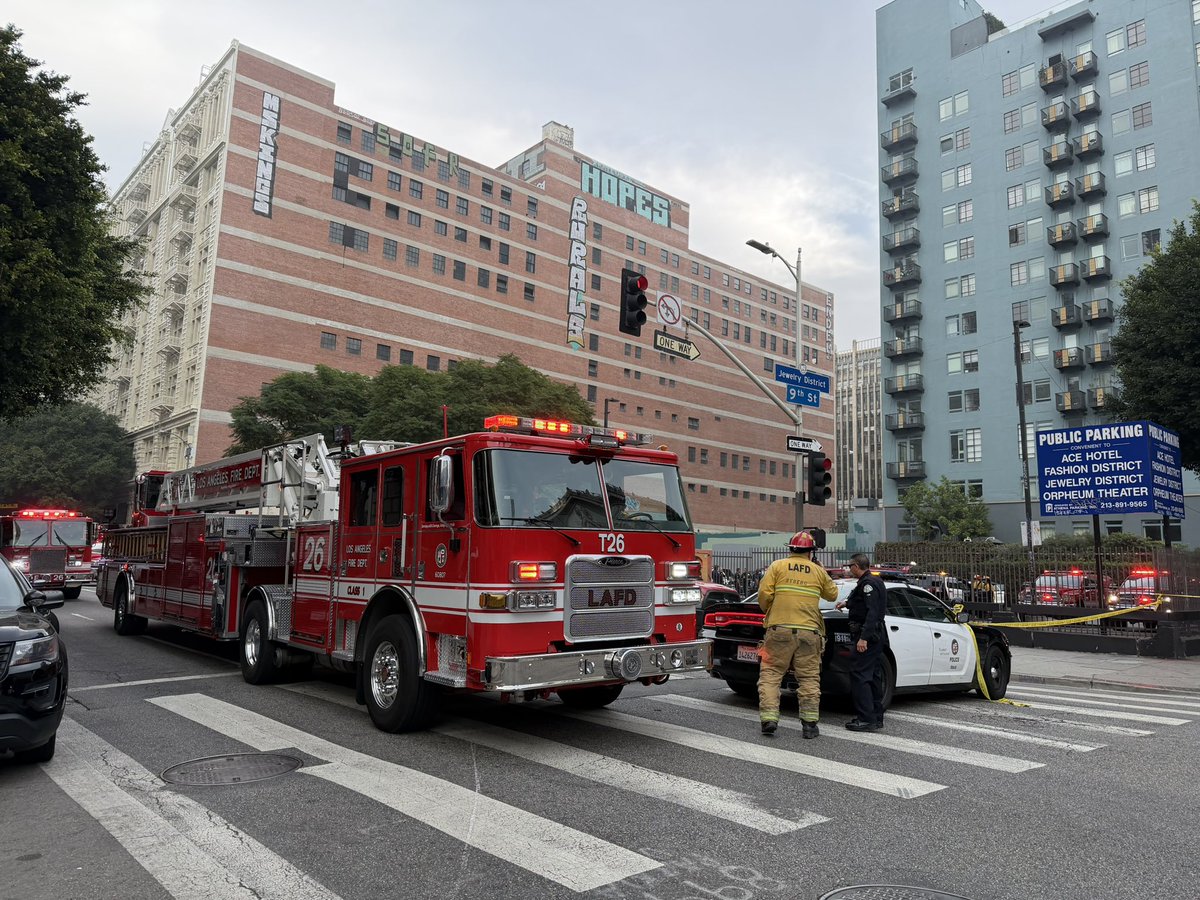 Hailey Winslow tweet media