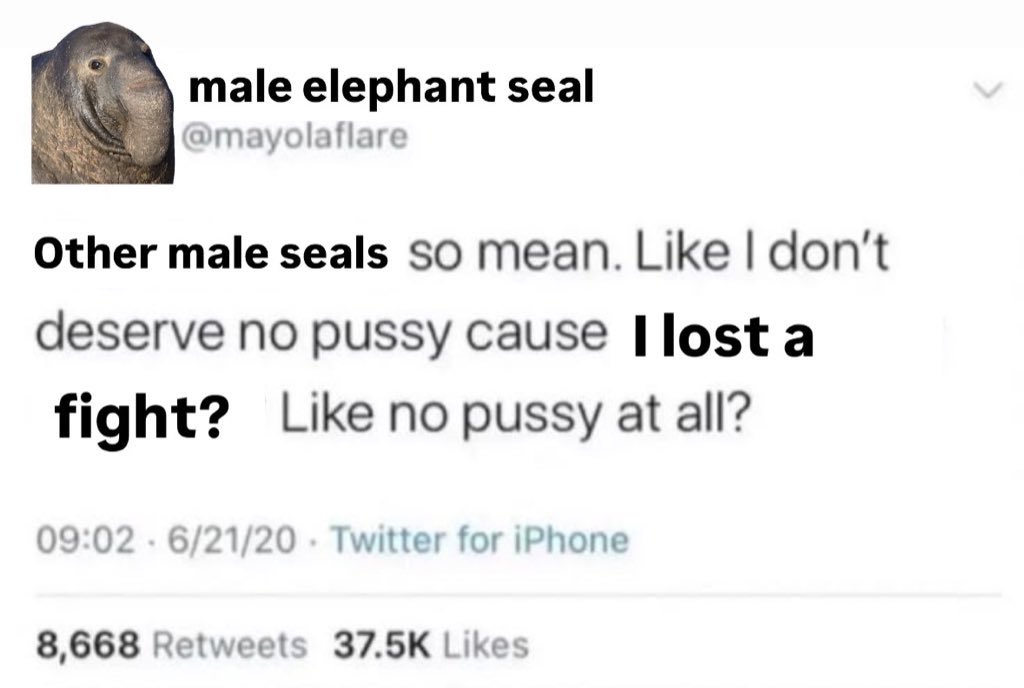 alaskastardust's tweet image. 