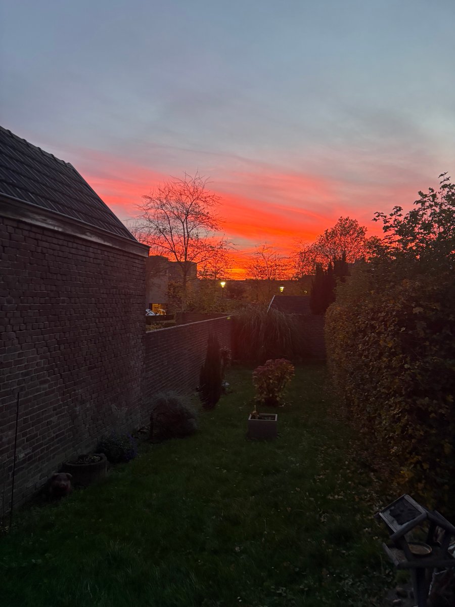 bjorndemas's tweet photo. https://t.co/57Q3KCgQMp