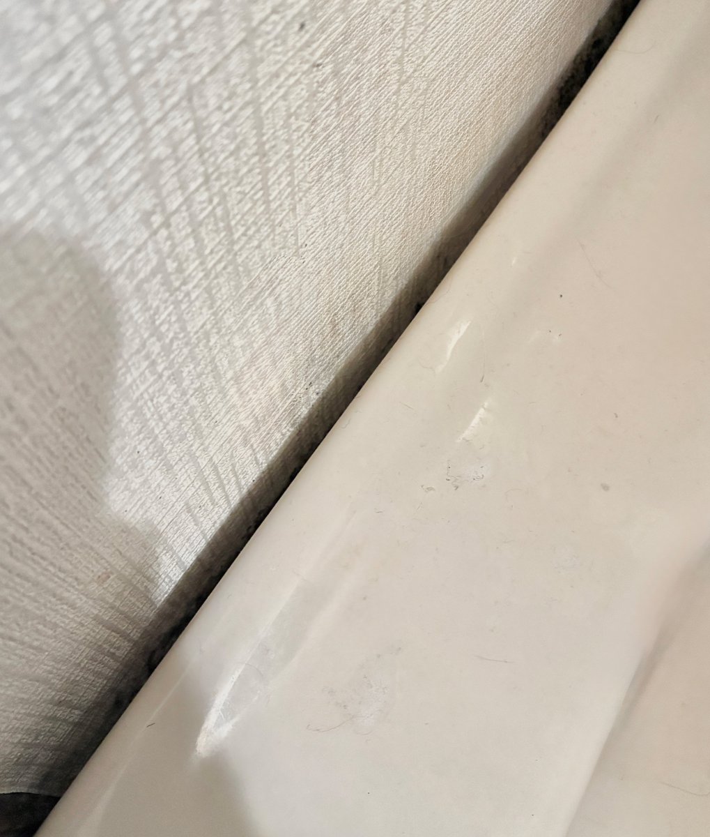 neco (@neco513) / Posts / X