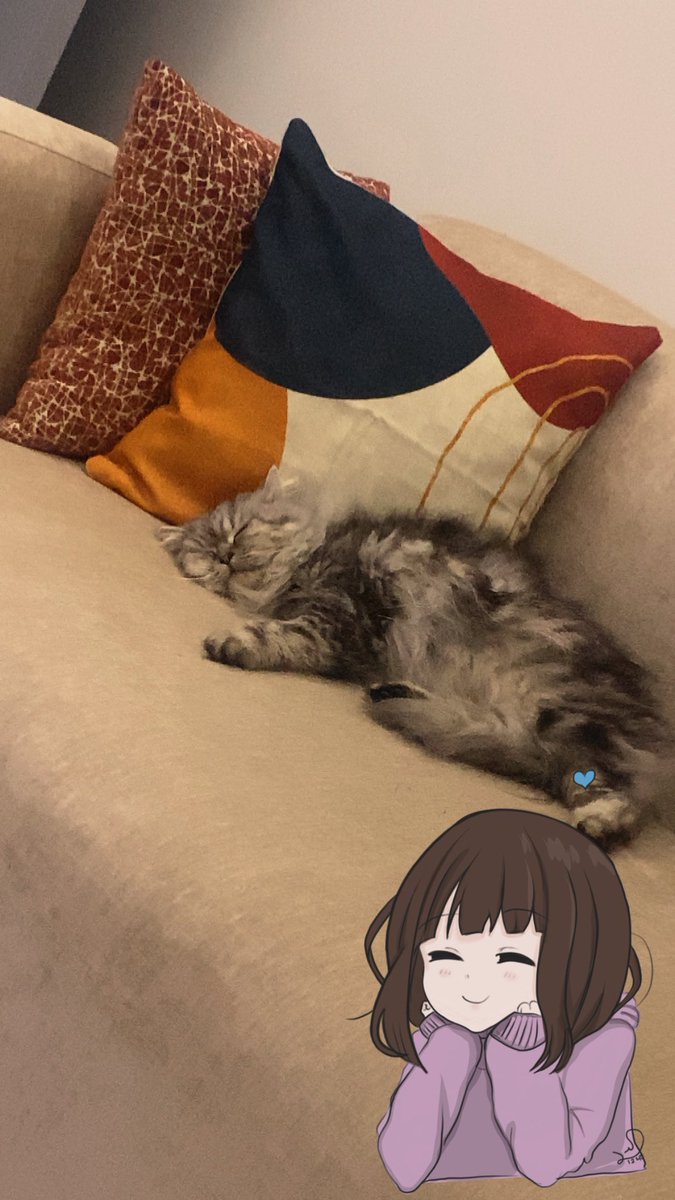 Samah💞♋️ (@samah_almalki2) on Twitter photo 