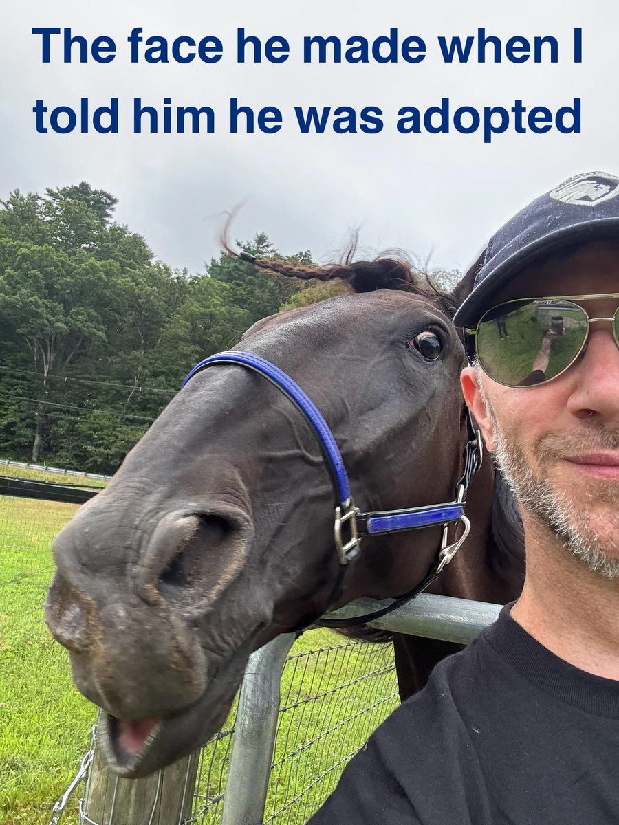 TStick23's tweet image. 