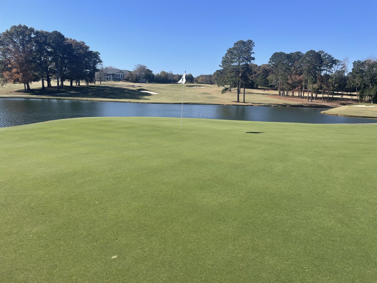 007XL bentgrass greens at the Athens CC, Georgia. Beautiful winter putting surfaces without a concern for winterkill -- as with Bermuda greens. Photo: November 12, 2025.