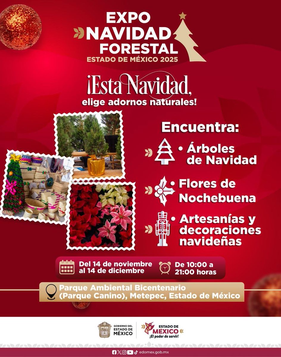 ModernoEdomex's tweet image. Expo Navidad Forestal
La #ExpoNavidadForestal, te ofrece adornos naturales navideños elaborados por manos mexiquenses. Del 14 de noviembre al 14 de diciembre, en el Parque Ambiental Bicentenario, en Metepec. No faltes a la compra. @Edomex. @Probosque_. #ElPoderDeServir