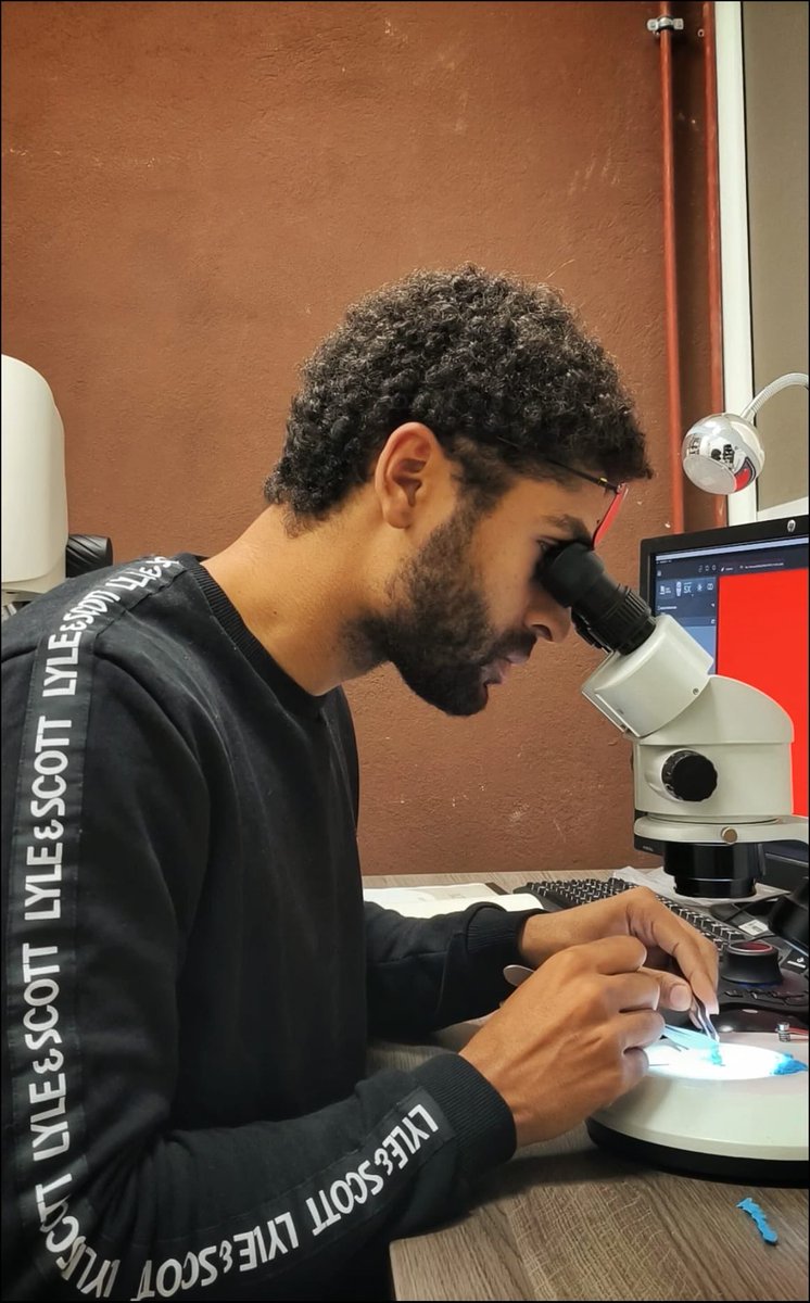 PaleoBaboon Research Project tweet media