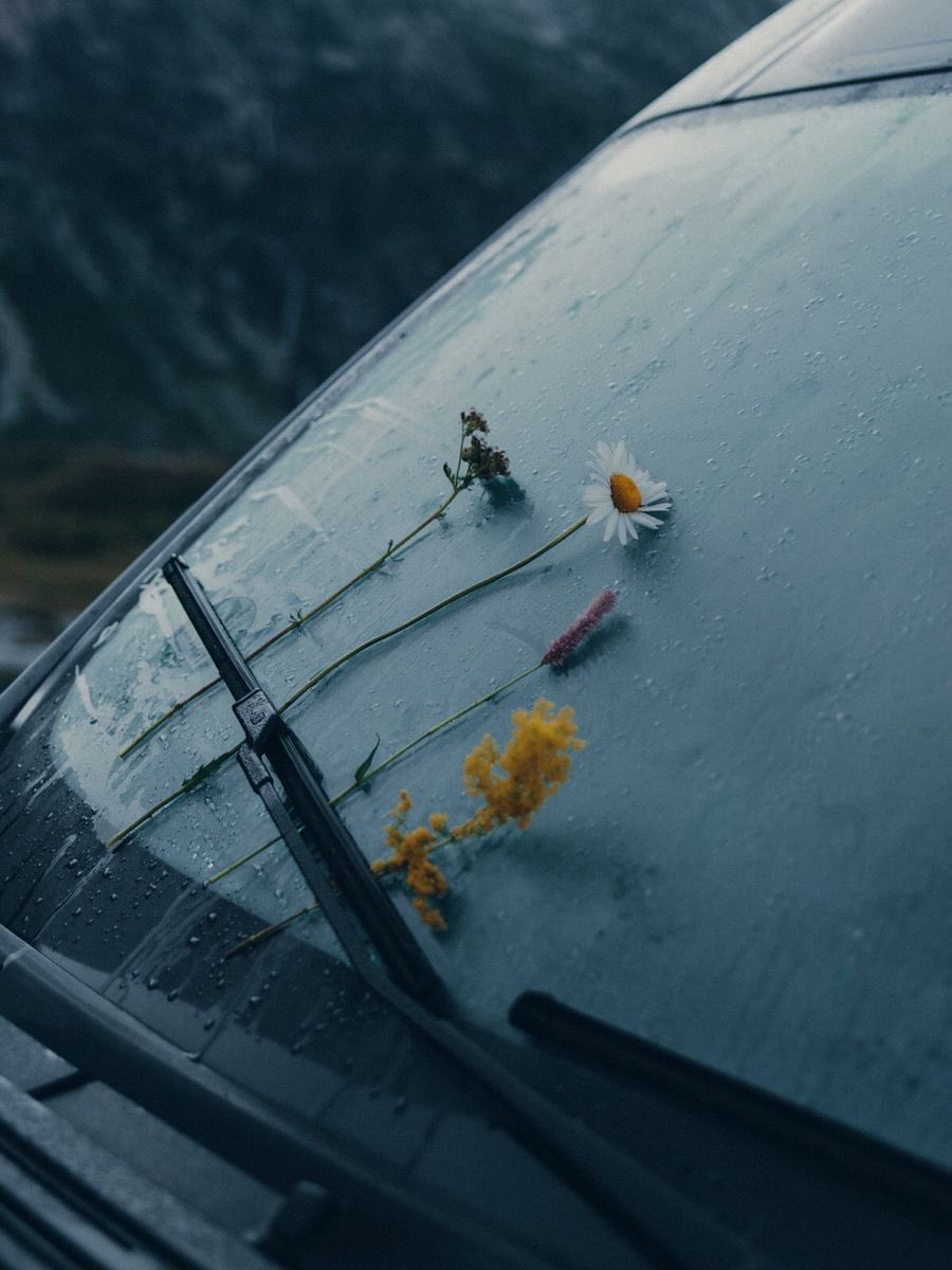 NOIR (@thefuturespacex) on Twitter photo 