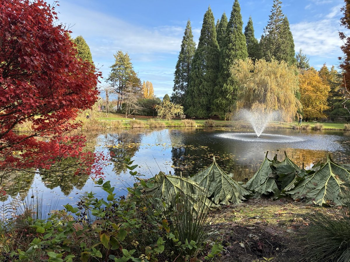 northshorejoey's tweet photo. #VanDusen Garden beautiful time of year. #fall #leaves 🍁 https://t.co/IsBYhwk67V