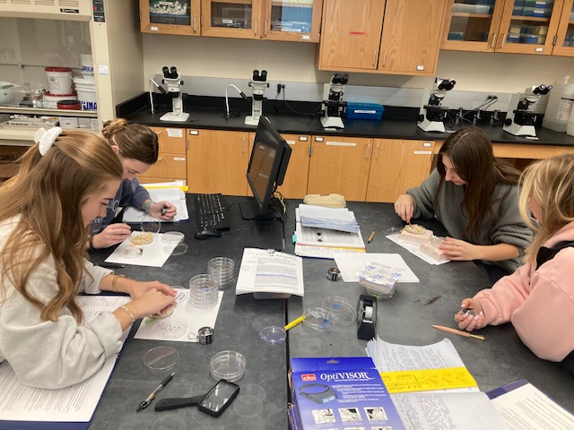 Hope College Biology tweet media