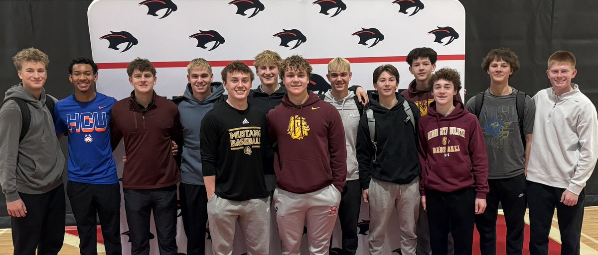 ShakoSabersbaseball tweet media