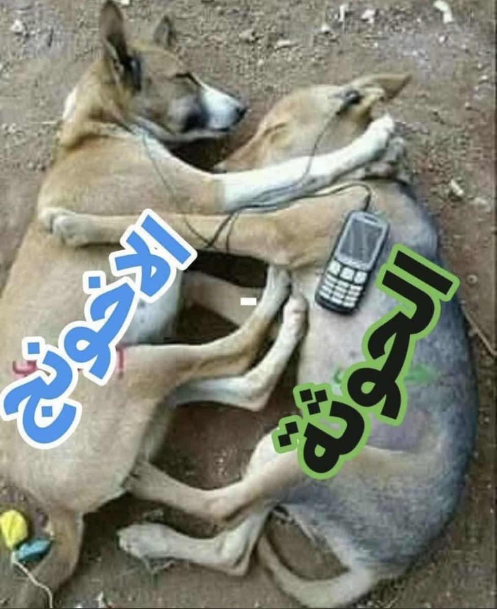 حبائب بعض
اشر خلق الله ع وجه الارض ،