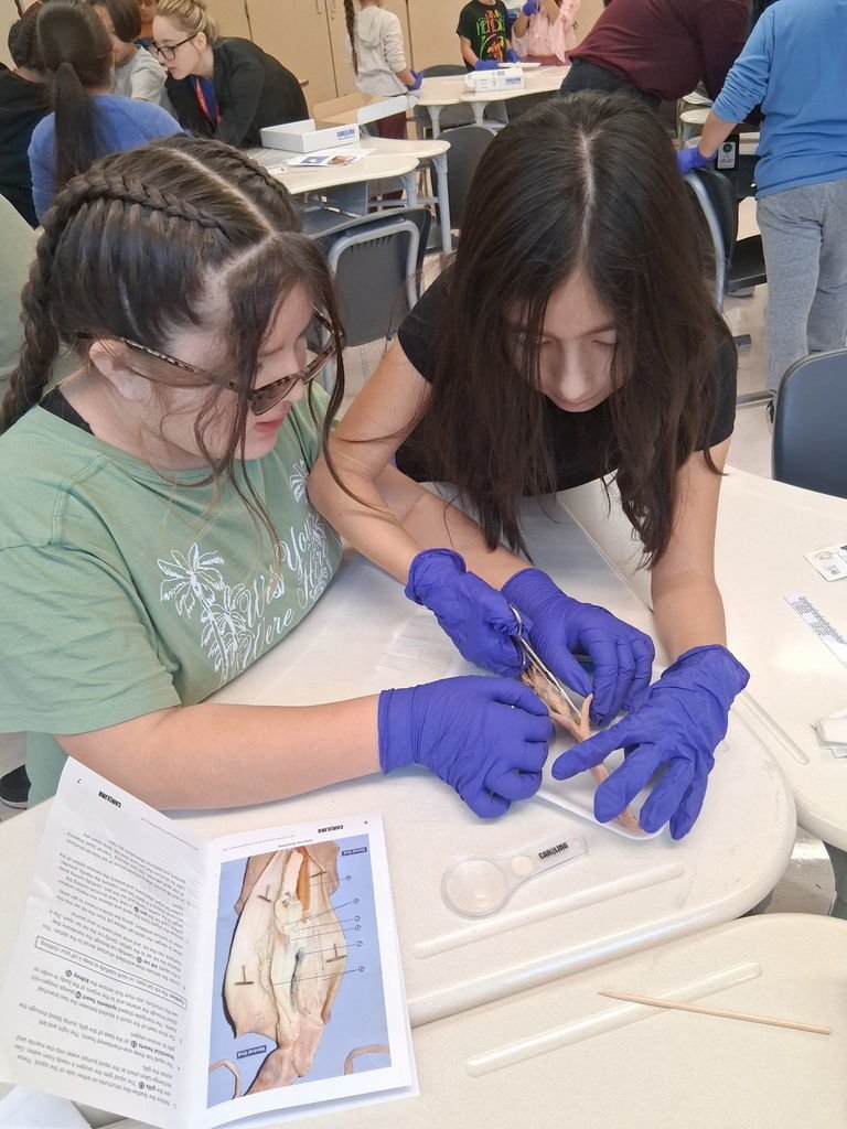 Singleton Elementary tweet media