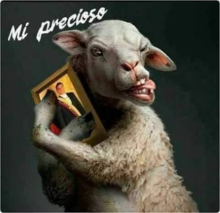 Marcfernando28's tweet photo. @LlamingoE @mauroandinoe @DanielNoboaOk Analistas político??? Jajaja ese puerco espin no sabe ni lo que es crear una empresa ni trabajar fuera de la teta del Estado https://t.co/pGHrLF7gav