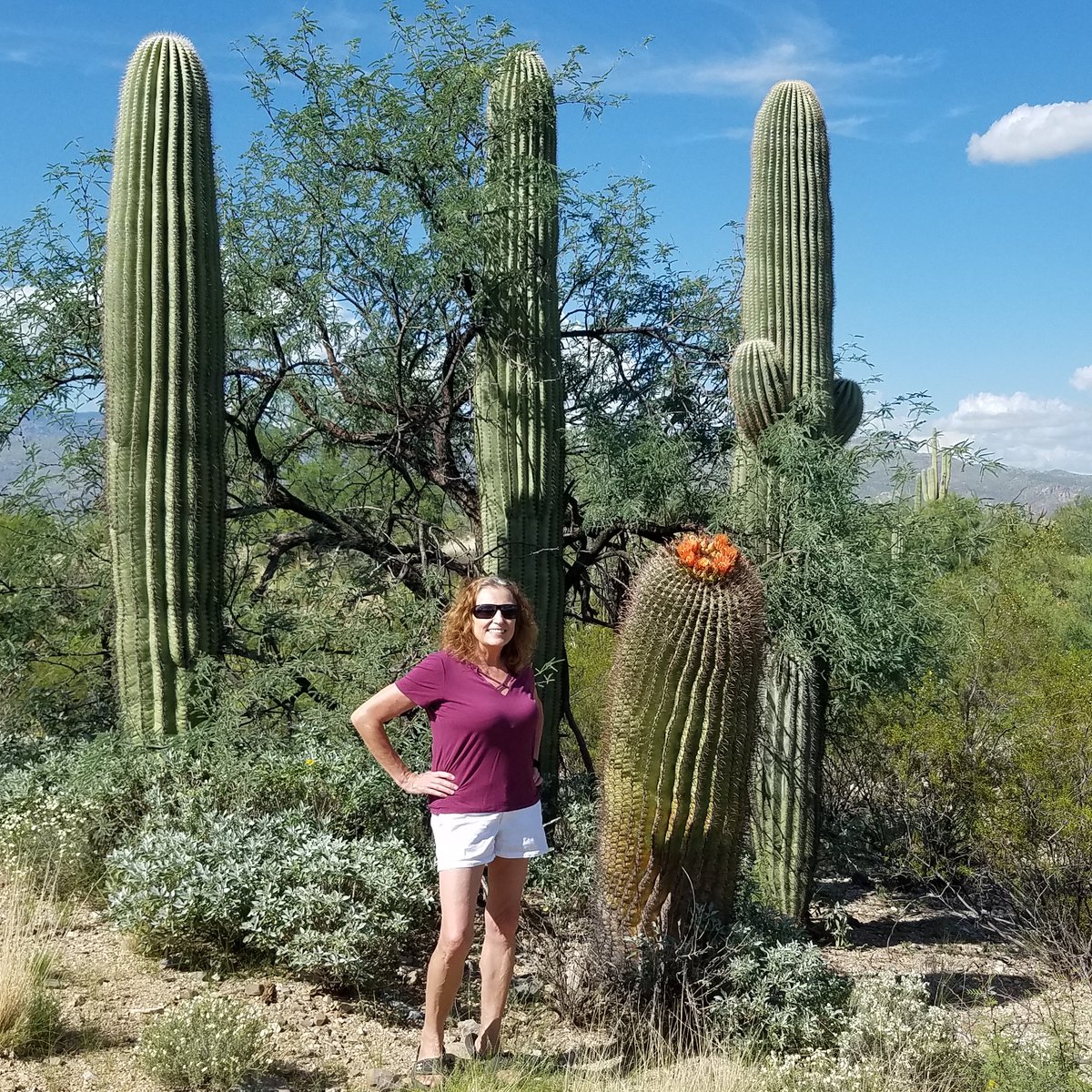 Steward Observatory, University of Arizona tweet media