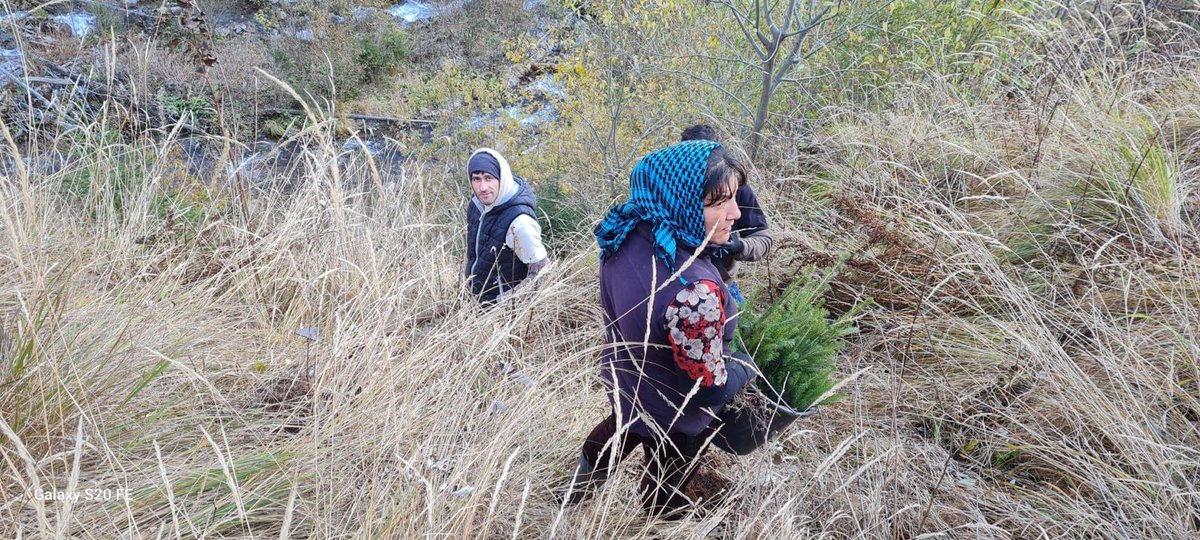 Forests Without Frontiers tweet media